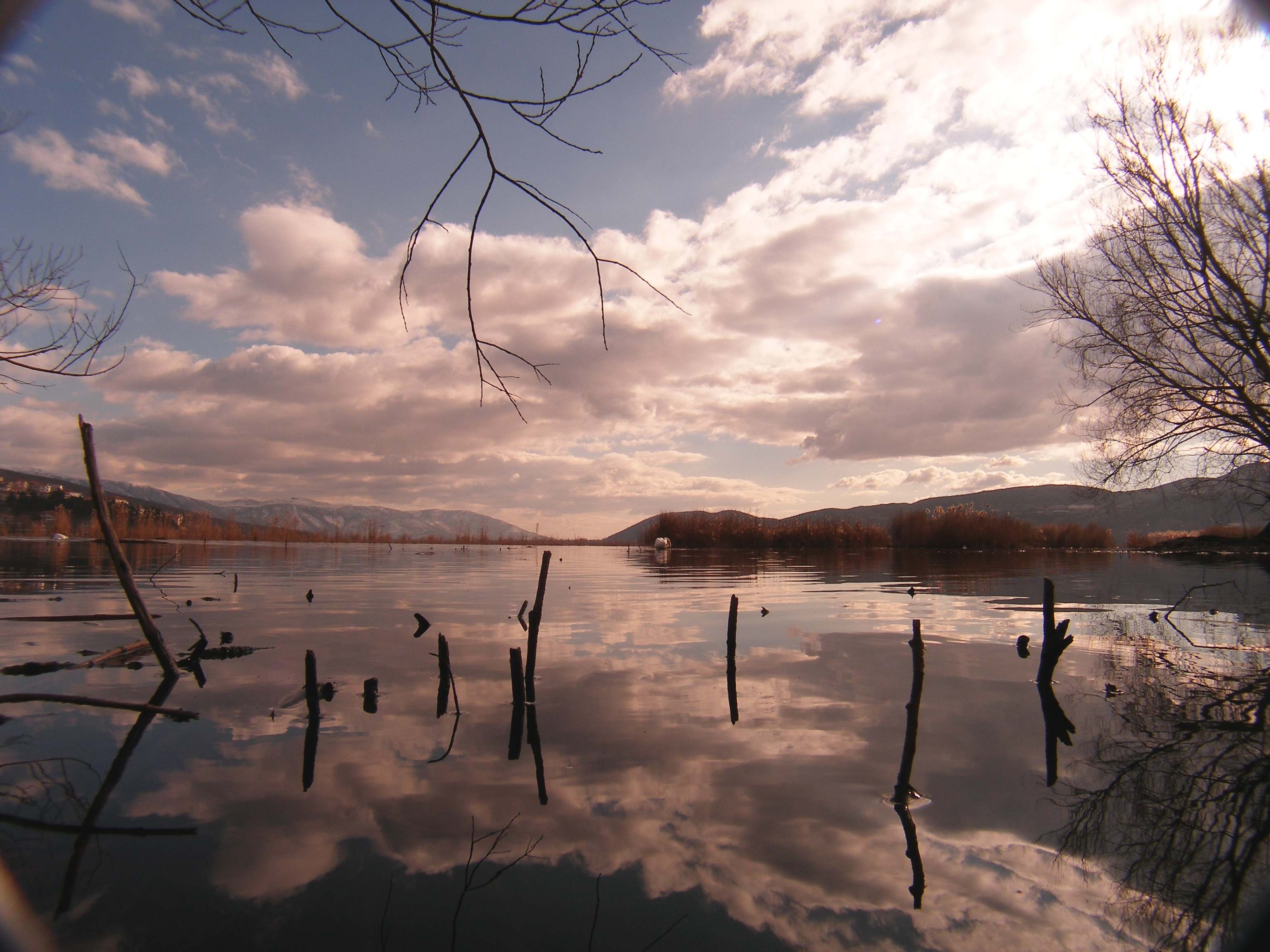 Η λίμνη της Καστοριάς, ΑΡΚΤΟΥΡΟΣ/Zlatko Viscovic