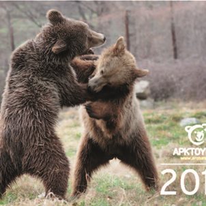 Image of product Calendar 2017