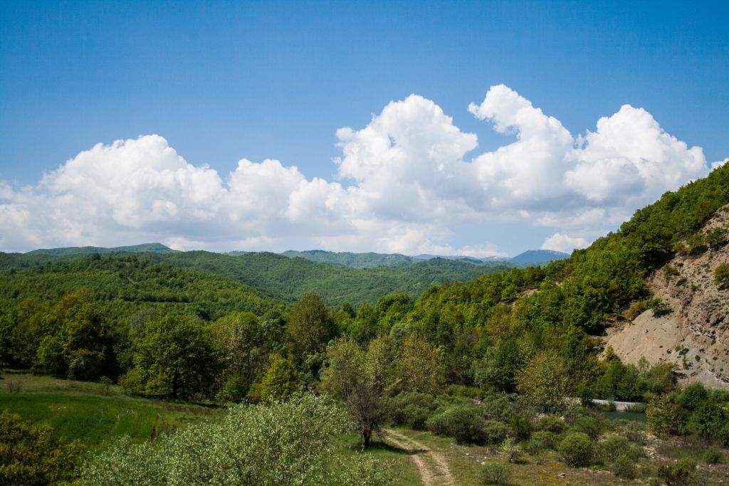 (©Α. Καραμανλίδης/ΑΡΚΤΟΥΡΟΣ)