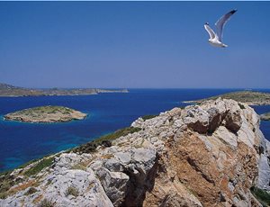 Το χρονικό μιας κοινής προσπάθειας για τη διαφύλαξη των τελευταίων καταφυγίων βιοποικιλότητας της Ευρώπης thumb
