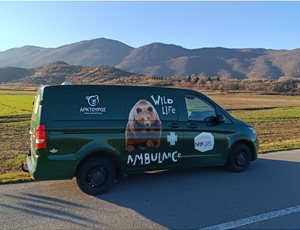 ΑΡΚΤΟΥΡΟΣ & ΝAK Insurance Brokers, ΜΑΖΙ για την περίθαλψη των μεγάλων άγριων θηλαστικών! thumb