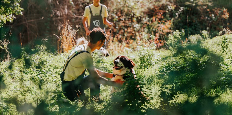 ΕΘΕΛΟΝΤΙΚΟ ΠΡΟΓΡΑΜΜΑ ESC 2023