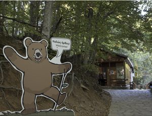 Η Ετήσια Αναφορά 2024 του ΑΡΚΤΟΥΡΟΥ: Μια χρονιά προκλήσεων, συγκίνησης και δημιουργικότητας thumb