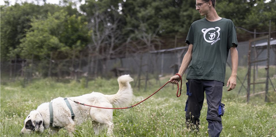 Εθελοντικό Πρόγραμμα ESC 2021