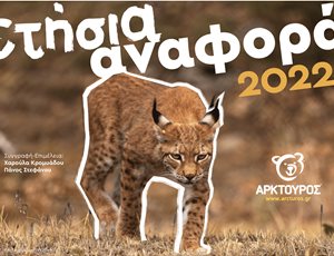 Ετήσια αναφορά 2022: Βάζοντας τις βάσεις για μια νέα εποχή thumb