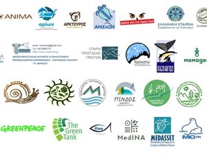 We unite our voices for the protection of the natural environment thumb