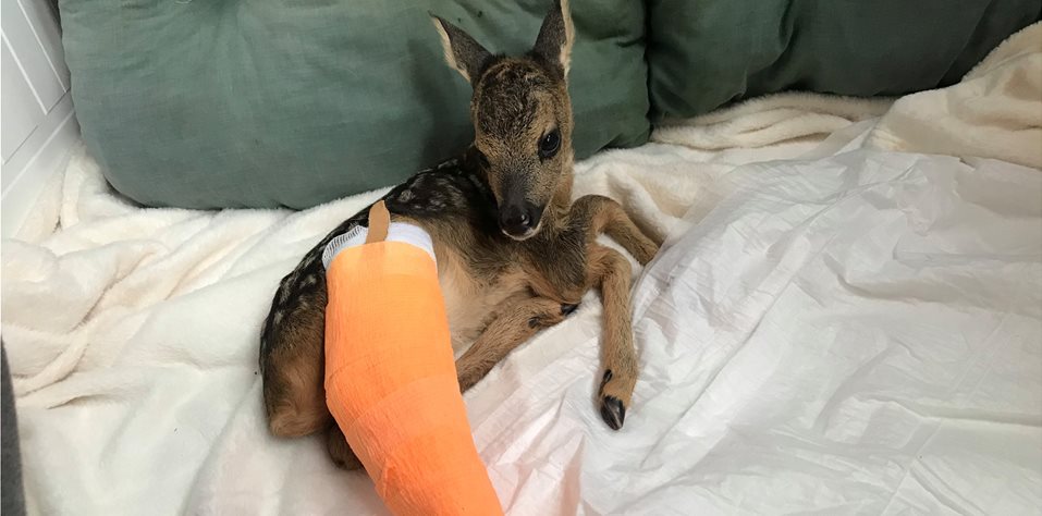 Καινοτόμες Δράσεις με τους Πολίτες - Πράσινο Ταμείο