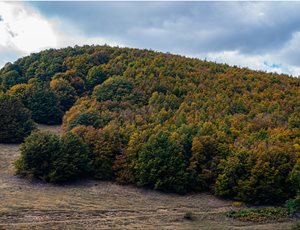 Ανακοίνωση 12 περιβαλλοντικών οργανώσεων για τις ρυθμίσεις σε περιοχές Natura 2000 στο υπό διαβούλευση νομοσχέδιο ΥΠΕΝ thumb