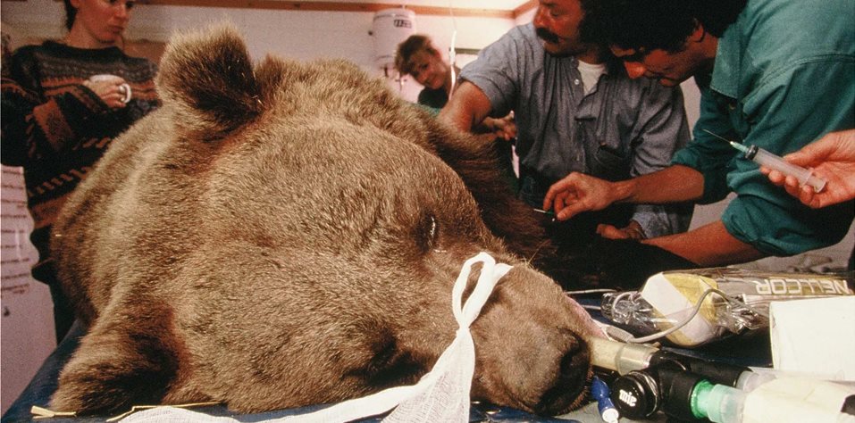 Emergency Response & Veterinary Centre Emergency Response Team