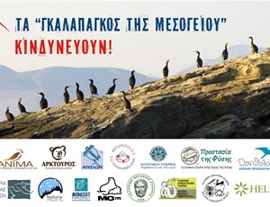 Οι νησίδες του Ν. Αιγαίου - Τα «γκαλαπάγκος της Μεσογείου»- απειλούνται με καταστροφή thumb